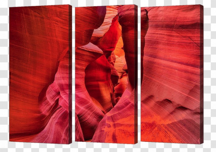 Modern Art Petal Silk Maroon Transparent PNG