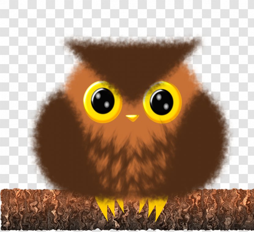 Owl Clip Art - Beak - Cute Transparent PNG