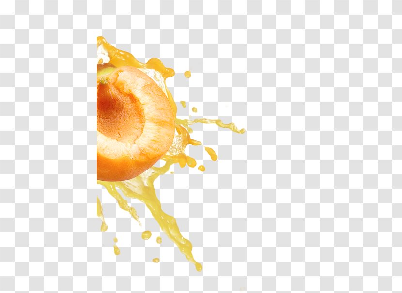 Orange Vegetarian Cuisine Desktop Wallpaper Apricot Fruit - Juice - Fruits Splsh Transparent PNG