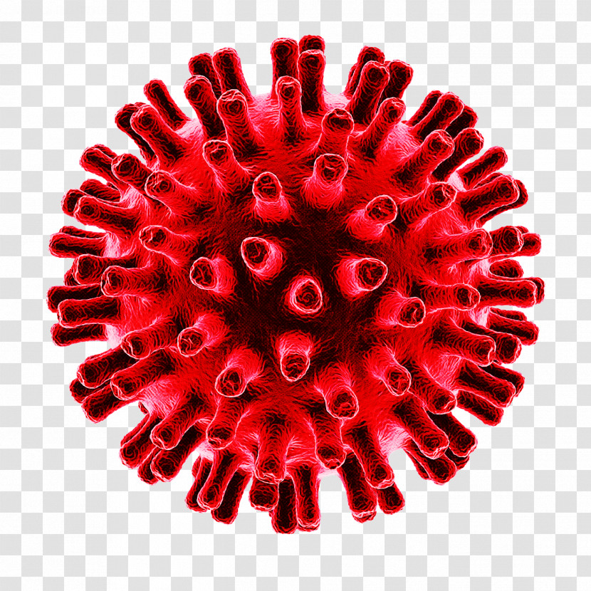 2019–20 Coronavirus Pandemic Virus Coronavirus Disease 2019 Coronavirus Pandemic Transparent PNG