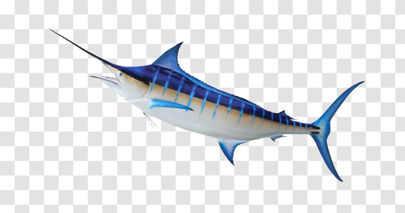 Swordfish Tuna Mackerel Marine Mammal Sardine - Marlin Firearms - BLUE MARLIN Transparent PNG