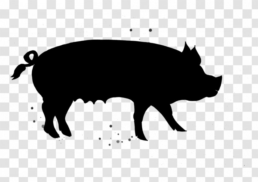 Pig Cartoon - Black - Bovine Livestock Transparent PNG