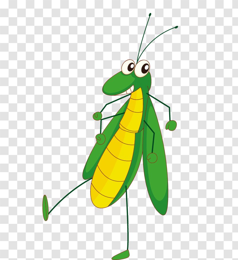 Cartoon Insect Bee Illustration - Membrane Winged - Grasshopper Transparent PNG