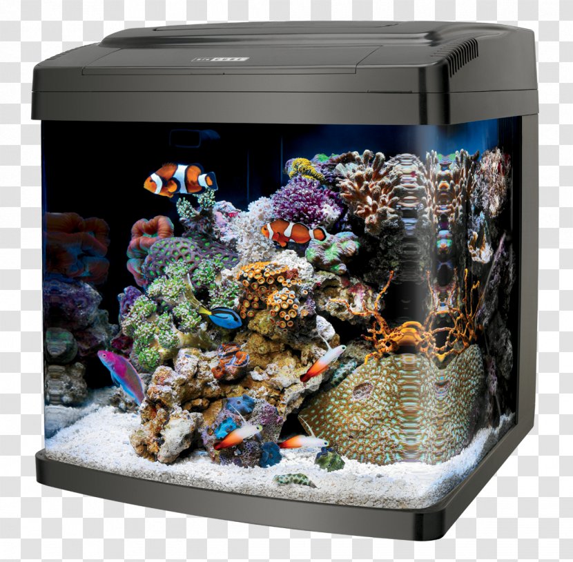 Coralife LED Bio Cube 32 Reef Aquarium Biocube Size 14 Stand 29/32 - Hydroponics Transparent PNG