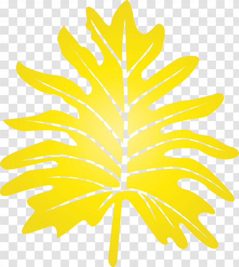 Leaf Plant Stem Flower Yellow Tree Transparent PNG