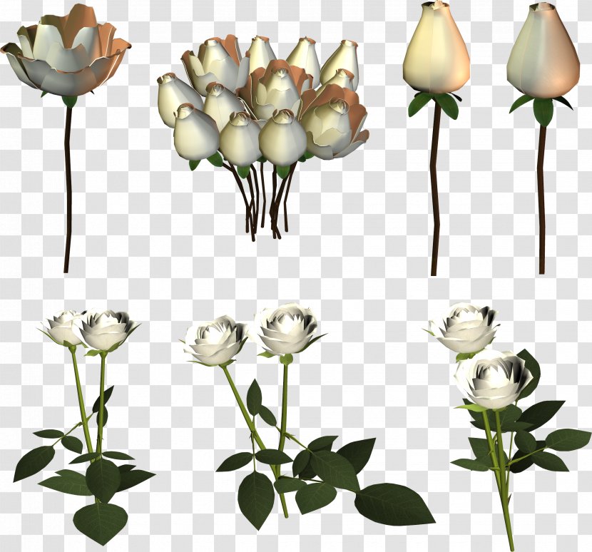 Cut Flowers Lilium Garden Roses Bud - Flora - Flower Transparent PNG