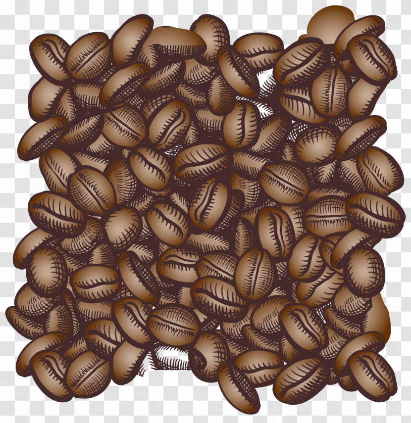 Coffee Bean Espresso Cappuccino Cafe - Cup - Beans Background Vector Transparent PNG