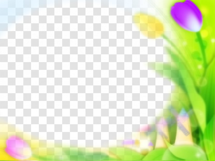 Green Tulip - Meadow - Border Transparent PNG