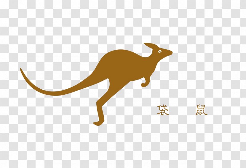 Kangaroo Macropodidae Australia Tonghe Residential District Jumping - User Interface Design Transparent PNG