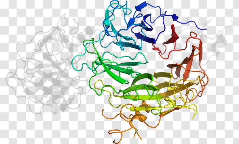 Factor VIII Haemophilia A Coagulation Recombinant DNA XIII - Cartoon - Watercolor Transparent PNG