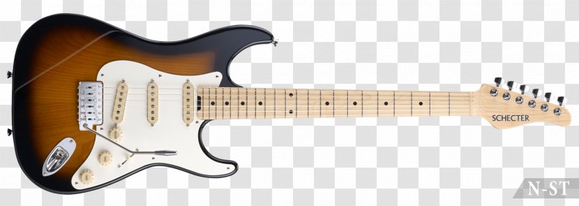Fender Stratocaster Jazzmaster Sunburst Musical Instruments Corporation - Tree Transparent PNG