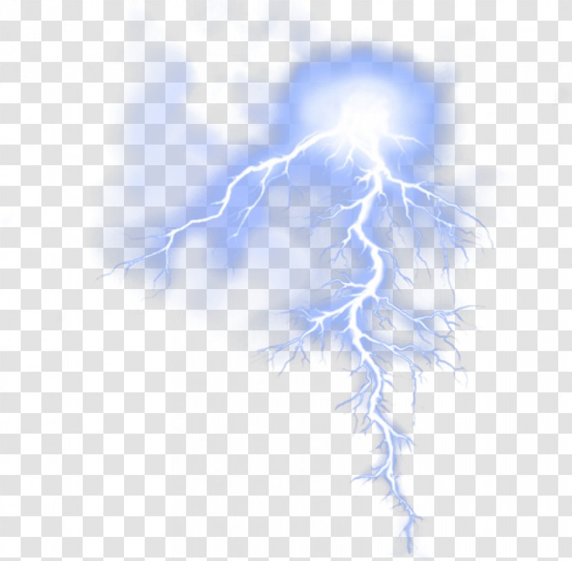 Lightning Clip Art - Tree Transparent PNG