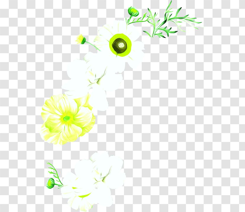 Flower - Yellow - Chrysanthemum Transparent PNG