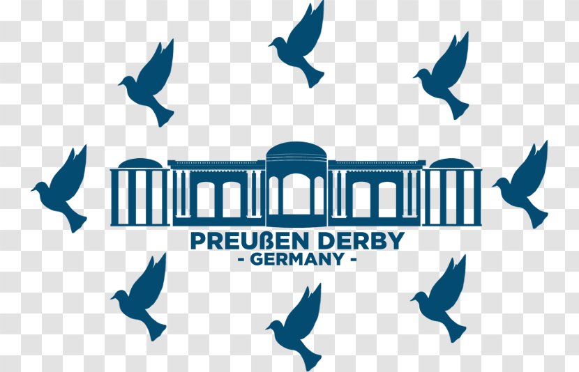 Homing Pigeon Prussia Fancy Columbidae Derby - Blue - Amazing Race Season 3 Transparent PNG