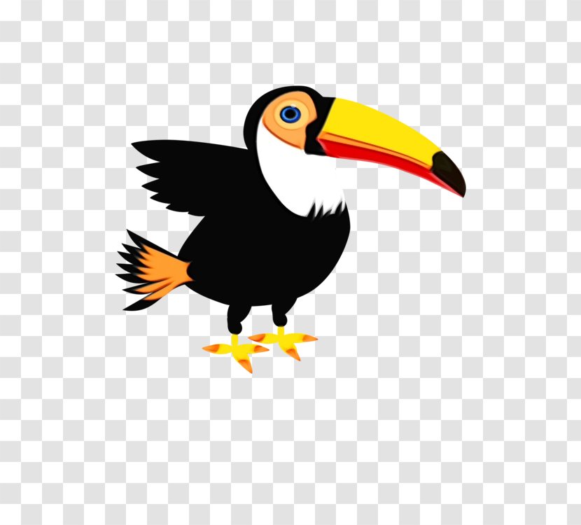 Toucan Clip Art Beak Bird Hornbill - Piciformes Transparent PNG