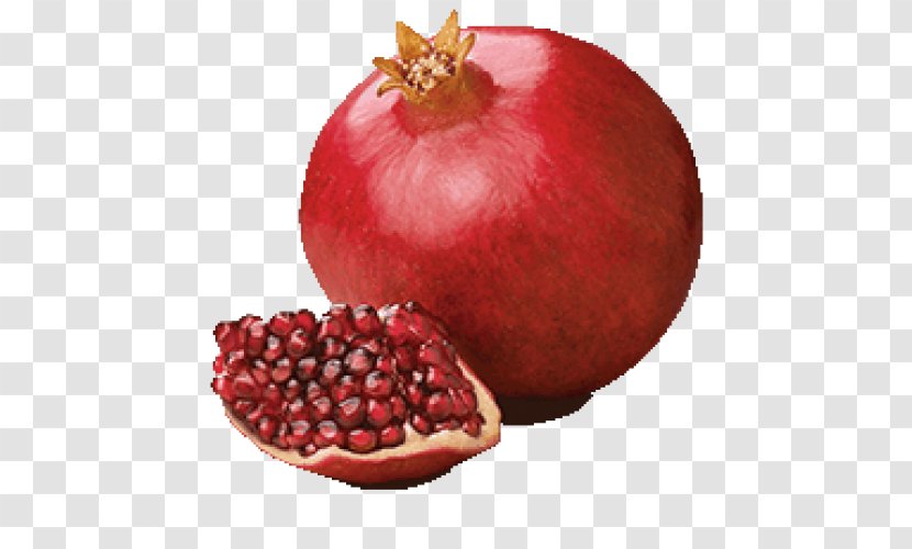 Pomegranate Juice Fruit - Tree Transparent PNG