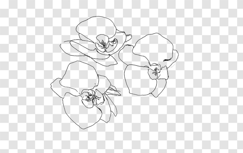 Drawing Flower Lilium Sketch - Silhouette Transparent PNG