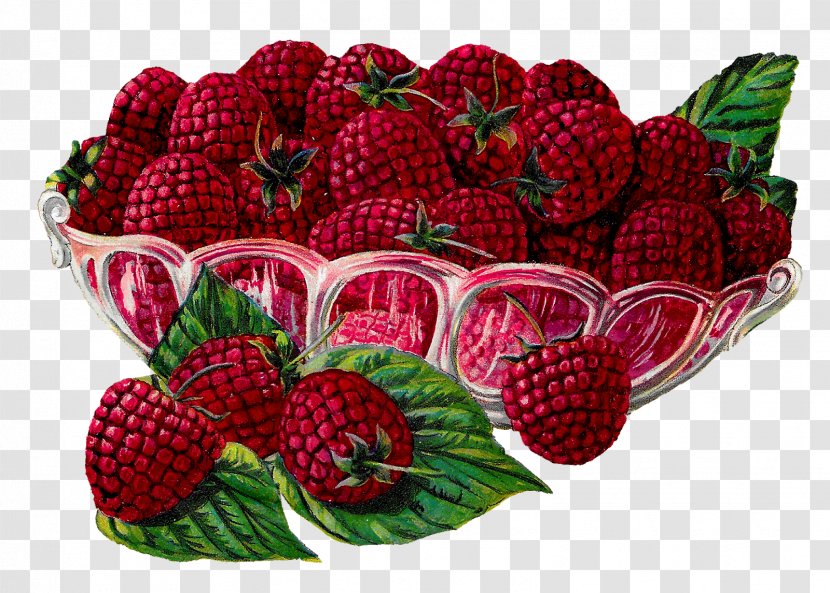 Raspberry Fruit Clip Art - Raspberries Transparent PNG