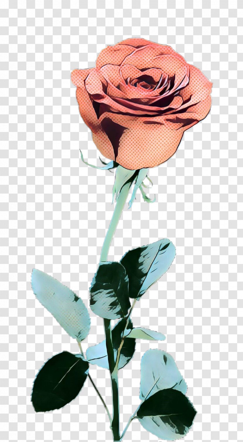 Garden Roses Cut Flowers Floral Design Illustration - Blue Rose Transparent PNG