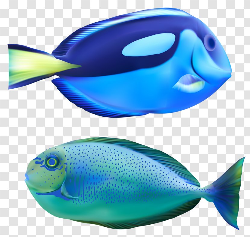 Deep Sea Fish Bony Fishes Marine Biology Creature - Organism Transparent PNG