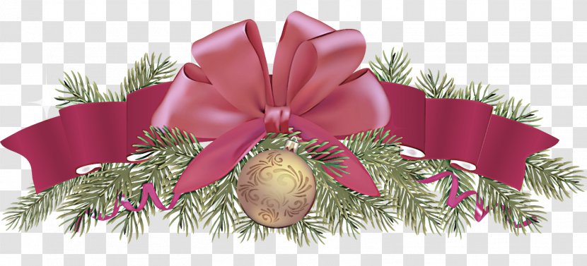 Christmas Decoration - Ribbon - Oregon Pine Colorado Spruce Transparent PNG
