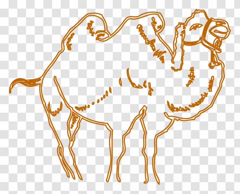 Camel Drawing Cartoon - Silhouette Transparent PNG