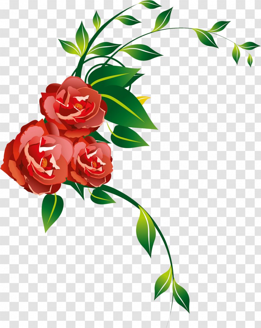 Garden Roses Flower Floral Design Clip Art - Photography Transparent PNG