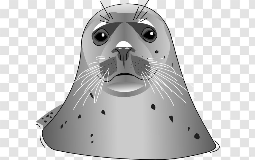 Pinniped Free Clip Art - Seals - Harbor Seal Transparent PNG