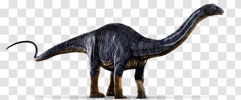 Apatosaurus Brachiosaurus Diplodocus Tyrannosaurus Jurassic Park: The Game - Velociraptor - Pentaceratops Transparent PNG