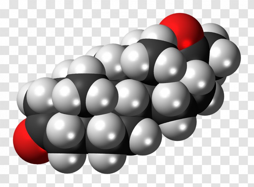 Progesterone Molecule Steroid Cortisol Space-filling Model - Body Mass Index Transparent PNG