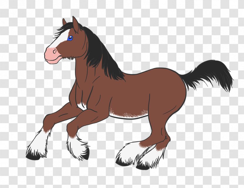 Mane Foal Stallion Pony Mustang - Vertebrate - Gallop Transparent PNG