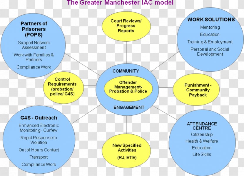 Brand Organization Diagram - Learning - Design Transparent PNG