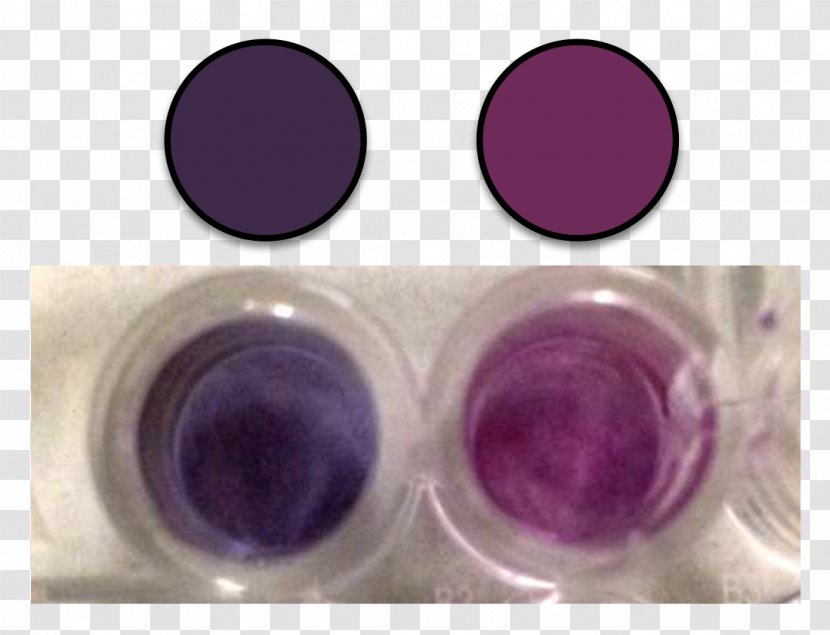 Purple Colloidal Gold Color Solution Nanoparticle Transparent PNG