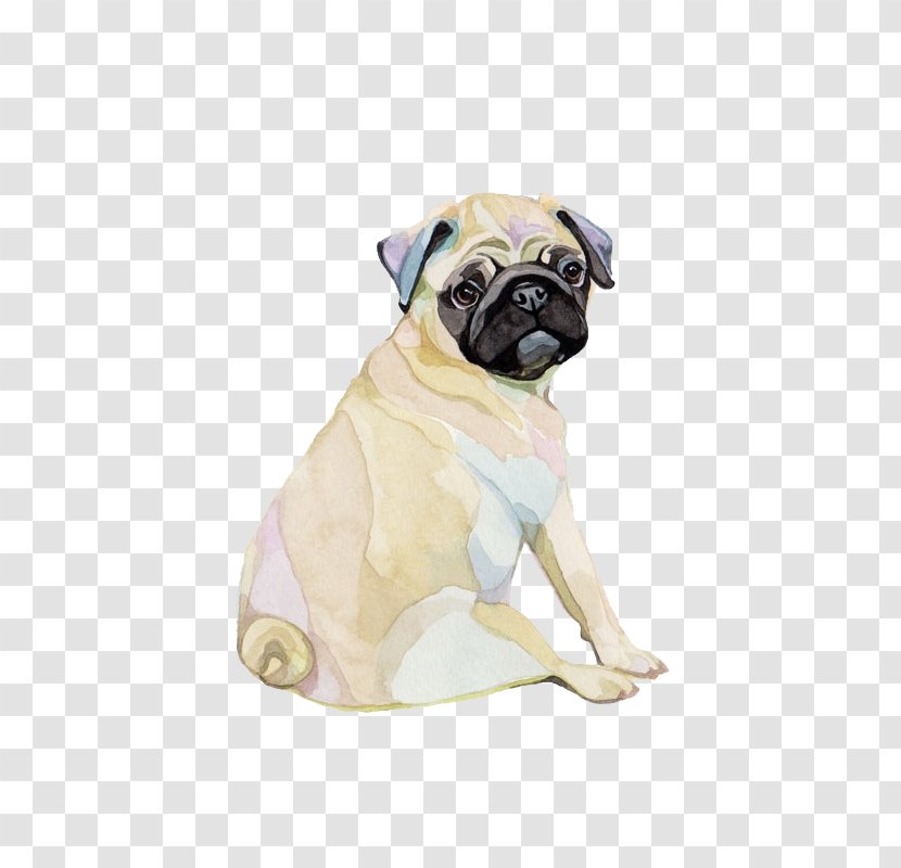 Pug Puppy Watercolor Painting Watercolour Flowers - Mammal Transparent PNG
