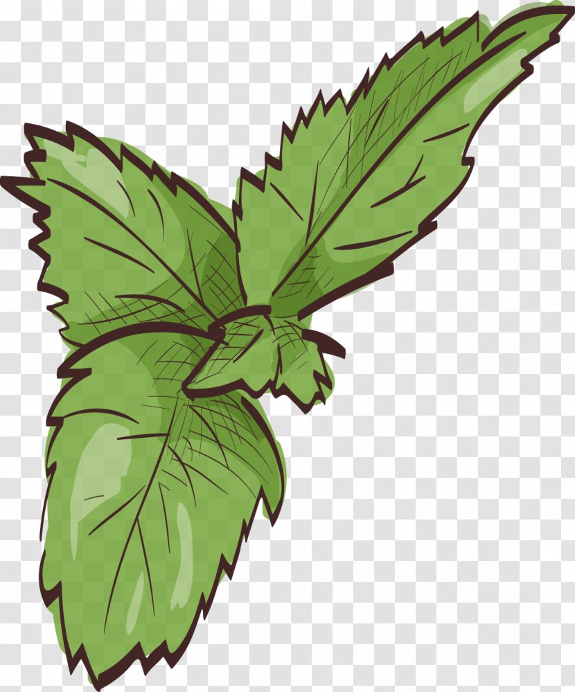 Leaf Mint Euclidean Vector - Painted Leaves Transparent PNG