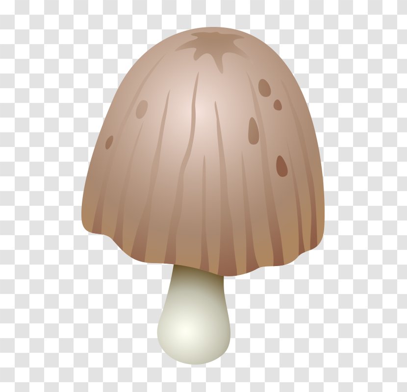 Boletus Edulis Mushroom Fungus - Wood - Mushroom,fungus Transparent PNG
