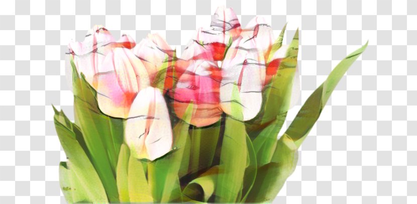 Lily Flower Cartoon - Petal - Floristry Anthurium Transparent PNG