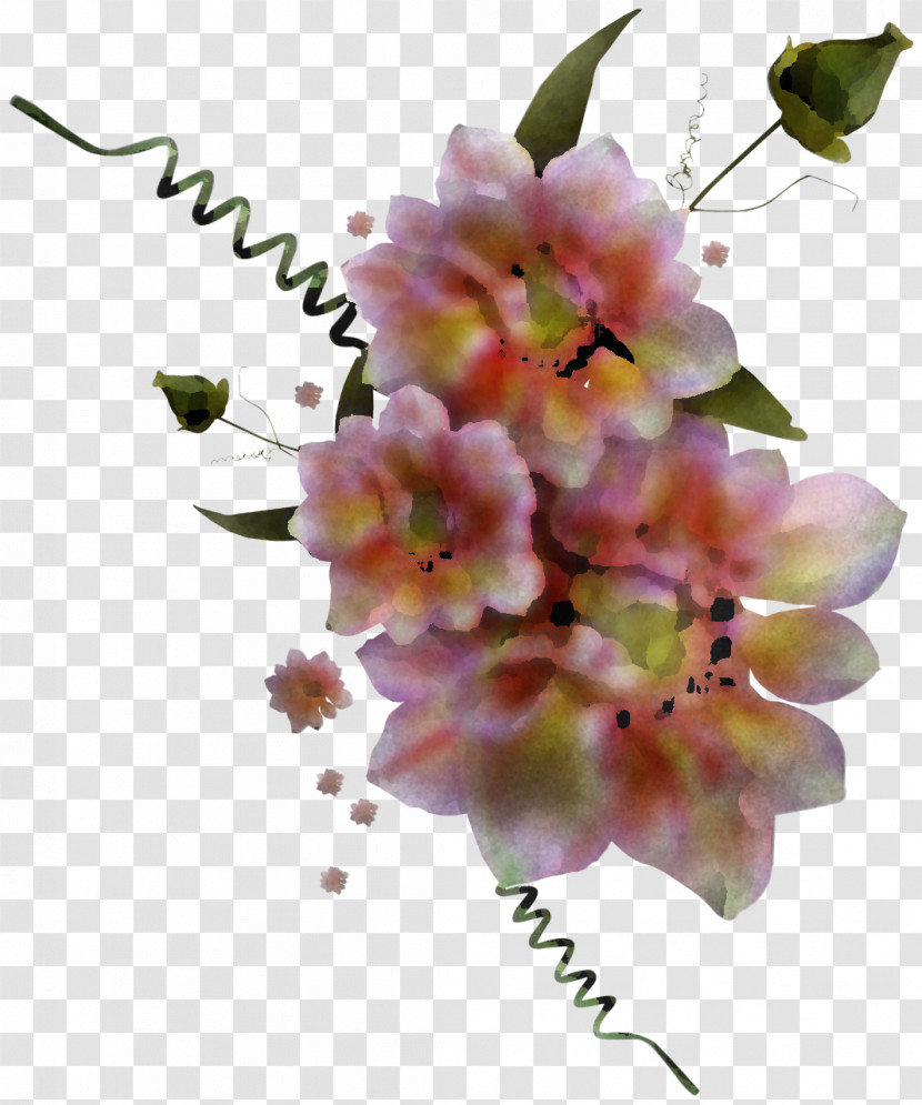 Floral Design Transparent PNG