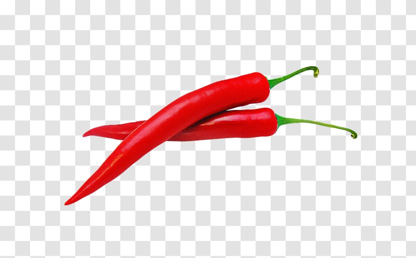 Chili Pepper Tabasco Serrano Malagueta Bird's Eye - Peperoncini - Red Vegetable Transparent PNG