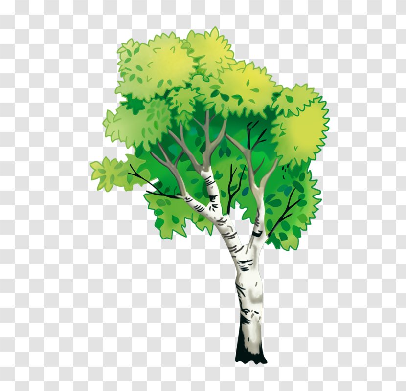 Nature Natural Environment Tree - Var Transparent PNG