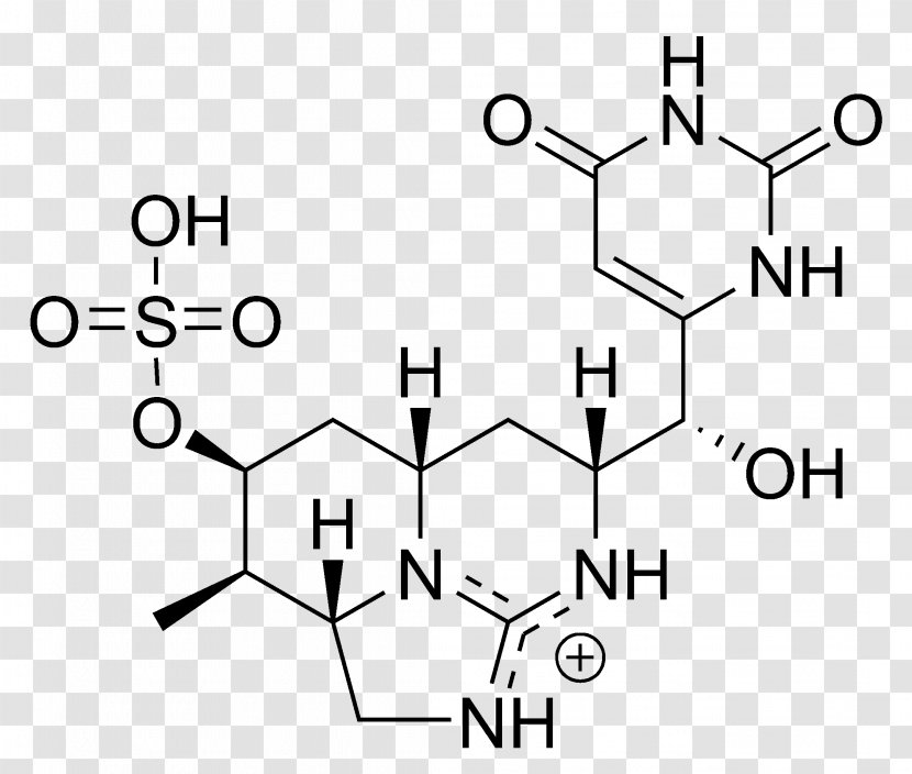 Cortisol Nonribosomal Peptide Glucocorticoid Beclometasone Dipropionate Microcystin - Heart - Watercolor Transparent PNG