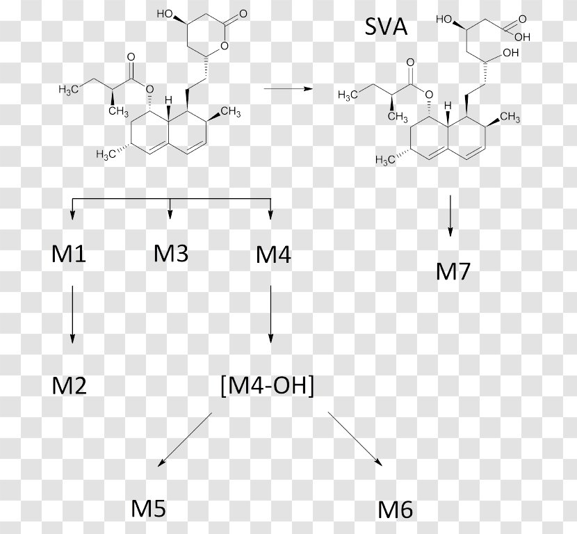 Simvastatin Human Metabolic Pathways Metabolism Chemical Compound Metabolite - Triangle - PathWAY Transparent PNG