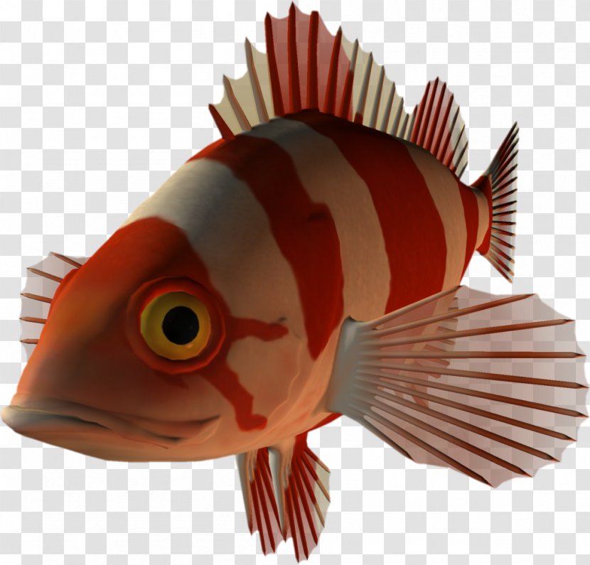 Fish Blog Desktop Wallpaper Clip Art - Organism Transparent PNG