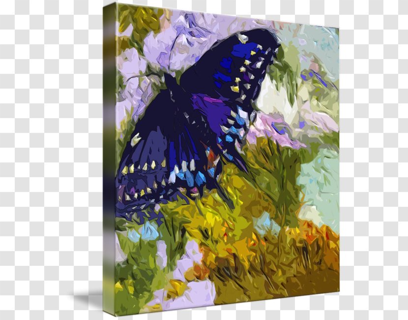 Butterfly Oil Painting Abstract Art - Watercolor Transparent PNG