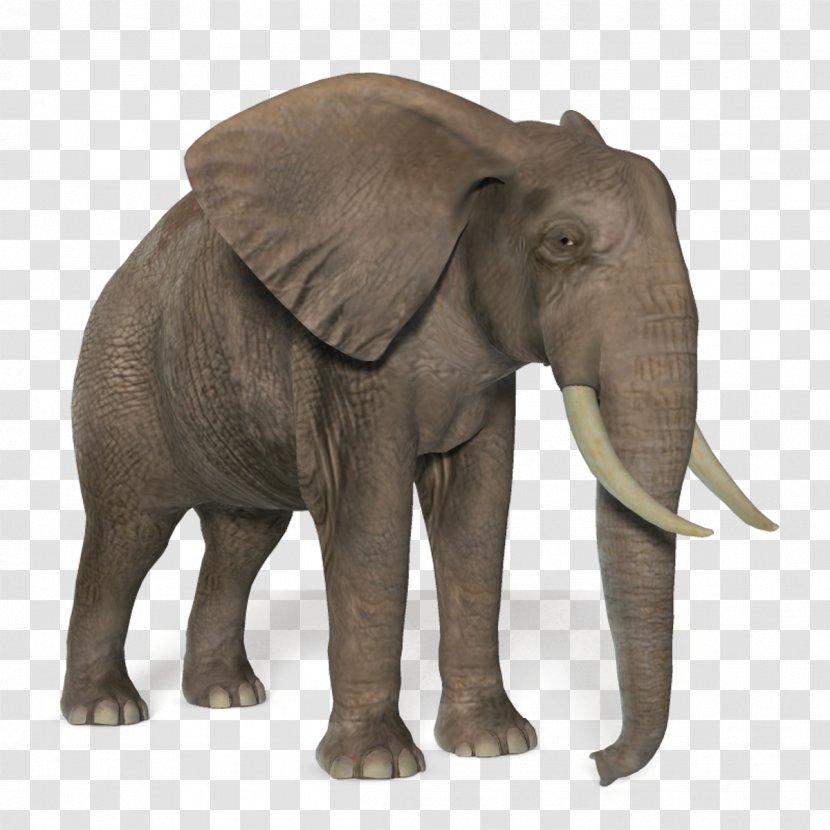 Elephant Clip Art - Snout Transparent PNG