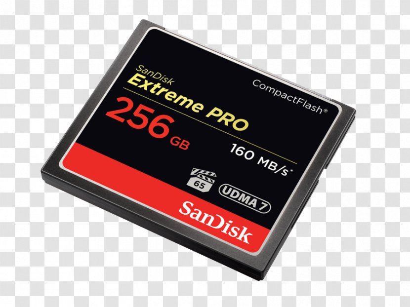 Flash Memory Cards CompactFlash SanDisk Computer Data Storage - Electronic Device Transparent PNG