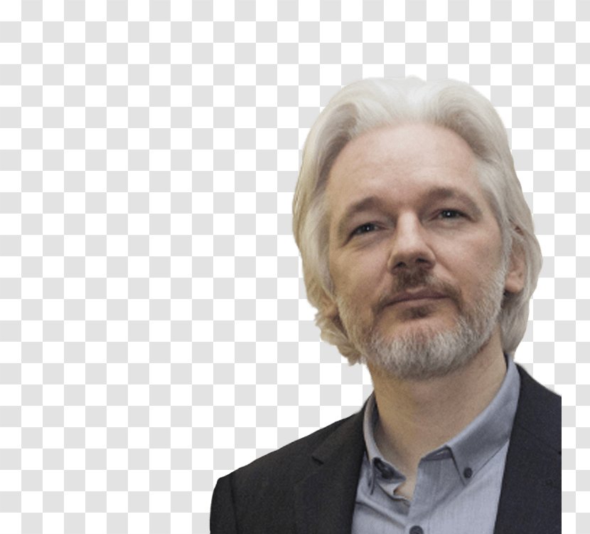Julian Assange WikiLeaks Ecuador Internet Activism 2016 Democratic National Committee Email Leak - United States - Julien 20 Transparent PNG