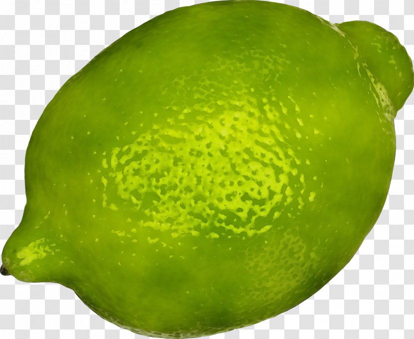 Persian Lime Citrus Fruit Green - Plant - Key Transparent PNG