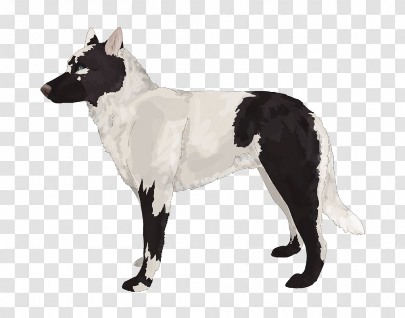 Dog Breed Canaan Karelian Bear Russo-European Laika Rare (dog) - Karelia Transparent PNG