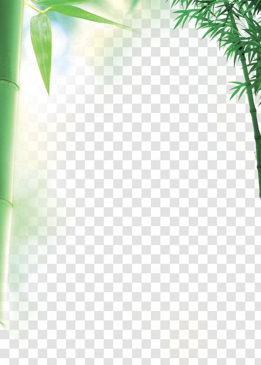 Bamboo Fundal - Grass Transparent PNG